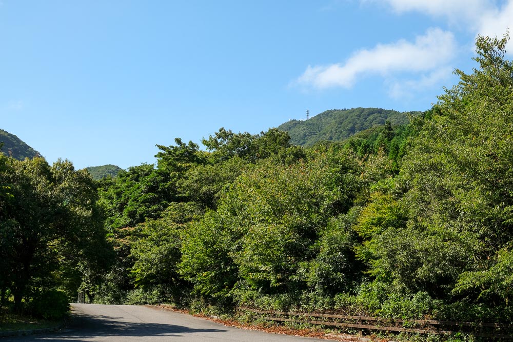 DSCF3235_web.jpg