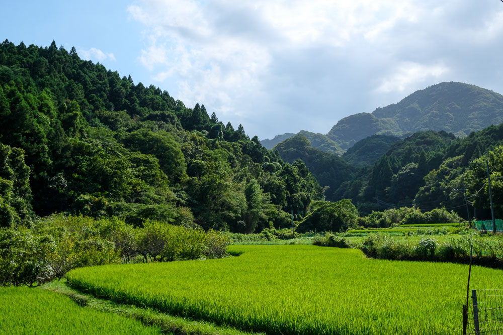 On our way to Futago-ji Mountain in Kunisaki