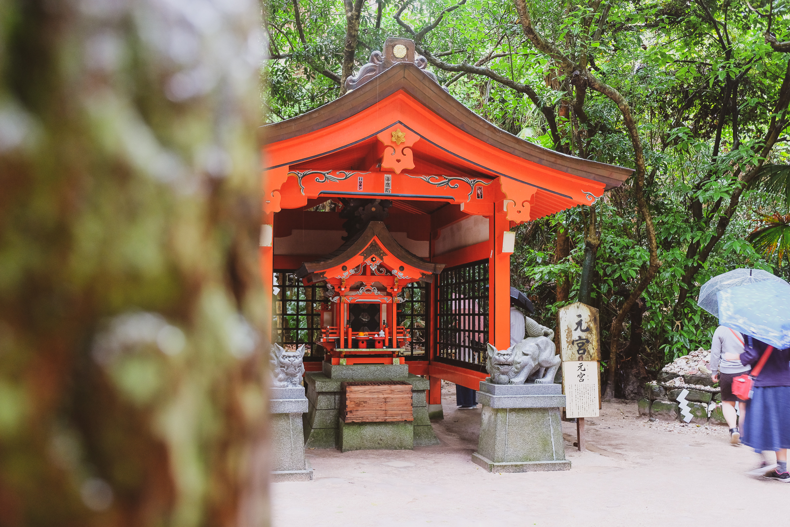 Aoshima Shrine