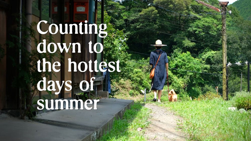 Counting Down to the Hottest Days of Summer