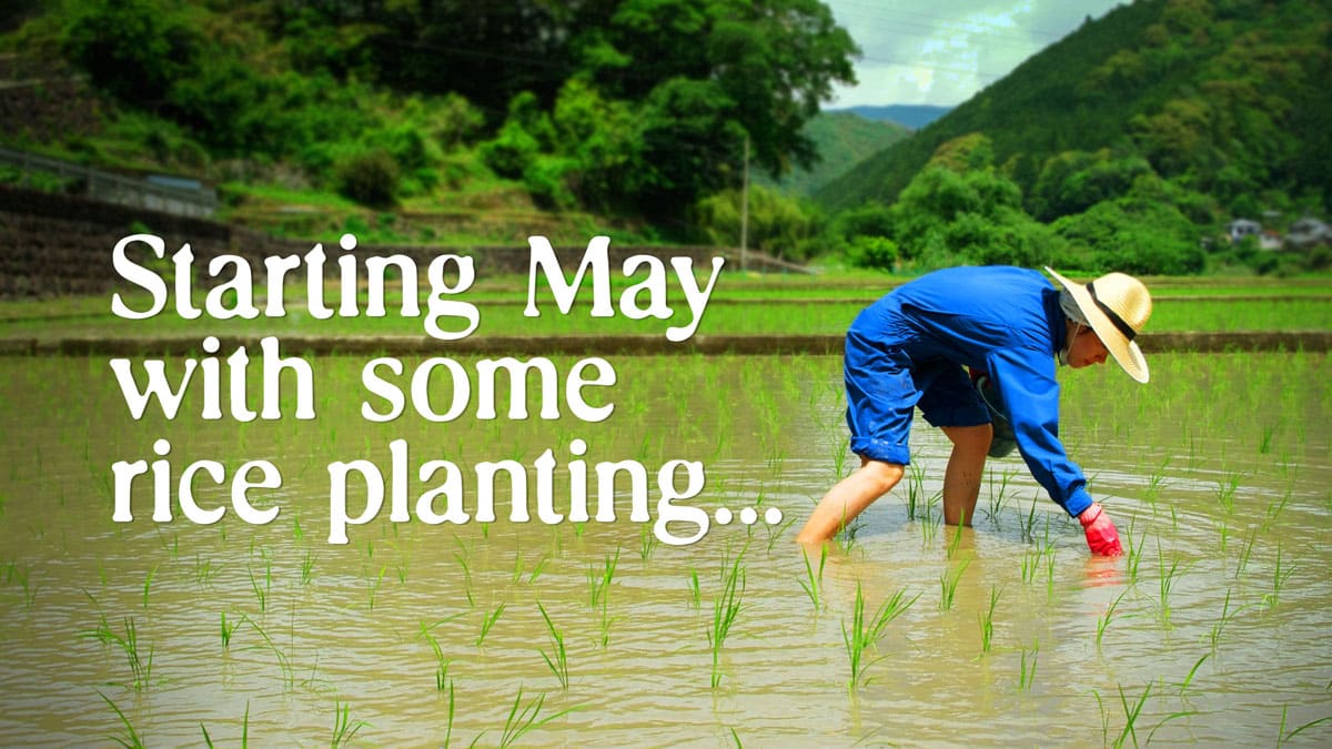 Spend May in the Japanese countryside with us